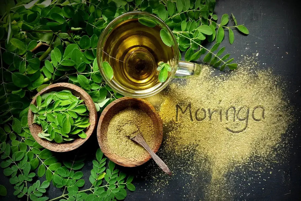 Moringa Powder in Pakistan – Nature’s Multivitamin for Daily Wellness