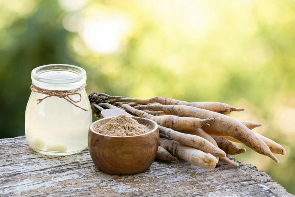 Shatavari Powder in Pakistan – Natural Hormonal Balance & Women’s Wellness